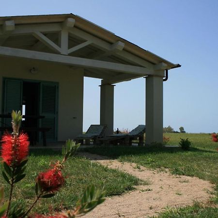 Agriturismo Podere 678 Grosseto Bagian luar foto