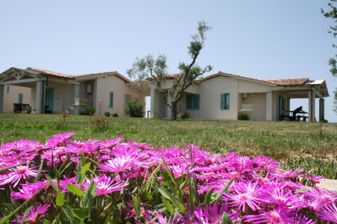 Agriturismo Podere 678 Grosseto Bagian luar foto